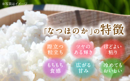 【令和7年度米】 れんげ米 なつほのか 3kg【ふきの陶】[NF18] 白米 3kg 白米