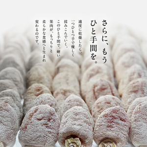 南信州産 市田柿 バラふぞろい 300g×2袋セット【2026年12月～発送】