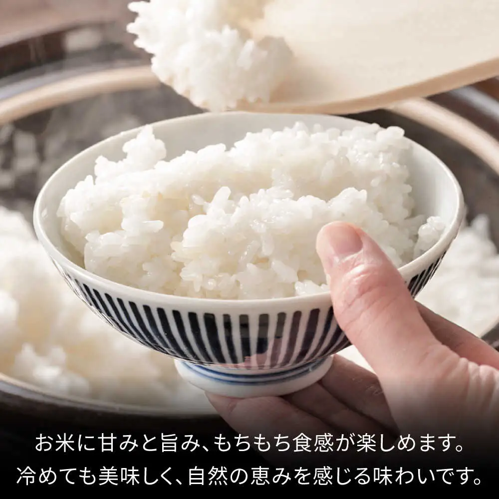 ＜令和7年度産＞れんげ畑のおくるぎ米 10kg/環境保全米 お米 おこめ/御嵩町/株式会社アオキ[AVBN006]
