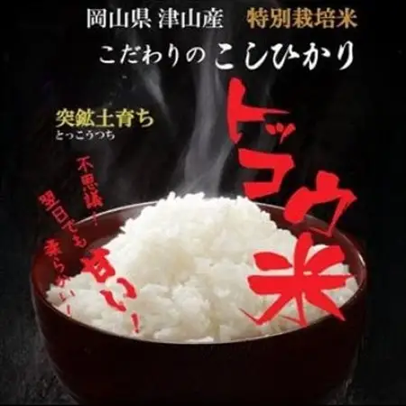 【突鉱土育ち】津山産トッコウ米(こしひかり)玄米30kg【1361987】