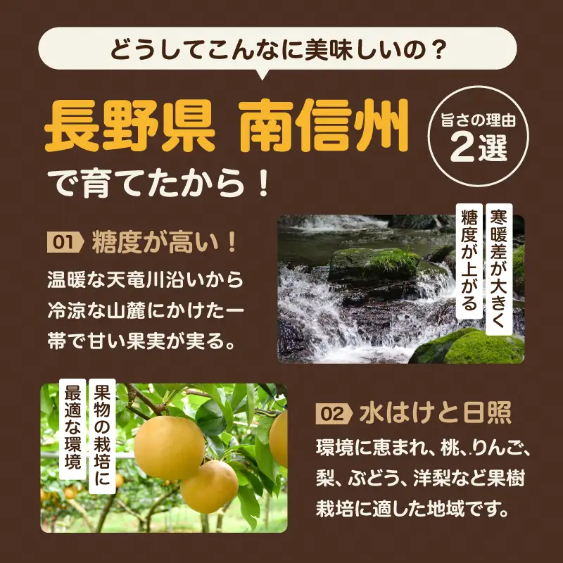 南信州産 梨【南水】3kg ＜2026年9月中旬～下旬発送＞