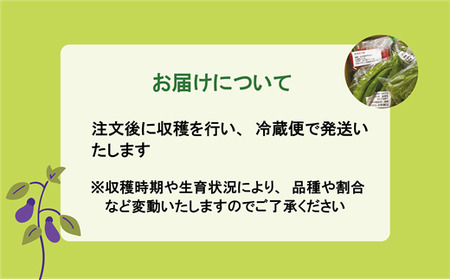 ＜丘の風ファーム 旬野菜詰め合わせセット＞