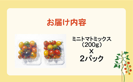 ＜丘の風ファーム ミニトマトミックス2個セット＞