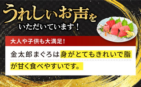  金太郎 マグロ 冷凍 赤身 約900g [RAC031]