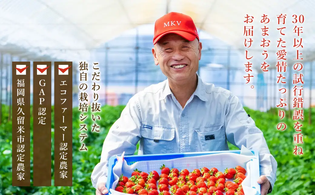 【ふるなびWEEK対象】【2027年2月発送】エコファーマー あまおう 約280g×2パック 計560g ／ いちご 苺 イチゴ ベリー 果物 フルーツ お取り寄せ デザート おやつ