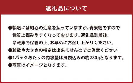 【2ヶ月定期便】エコファーマー あまおう （約280g×2パック）×2回 計約1120g【数量限定】【2027年2月上旬から3月下旬順次発送】 いちご 苺 イチゴ ベリー 果物 フルーツ お取り寄せ デザート おやつ