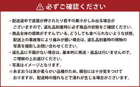 ギフト配送 約450g×2パック 計900g EX 福岡県産 あまおう 特別栽培【2027年1月上旬から3月下旬発送予定】 いちご 苺 イチゴ ベリー 果物 フルーツ お取り寄せ デザート おやつ