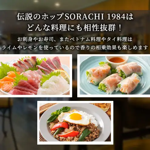 サッポロ SORACHI1984 ソラチ ビール 350ml 24本 缶ビール