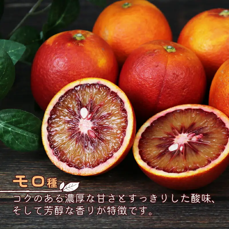訳あり ブラッドオレンジ モロ タロッコ4kg 杉本屋 オレンジ B010-143023
