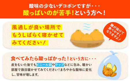 デコポン無加温 約3.6kg  デコポン