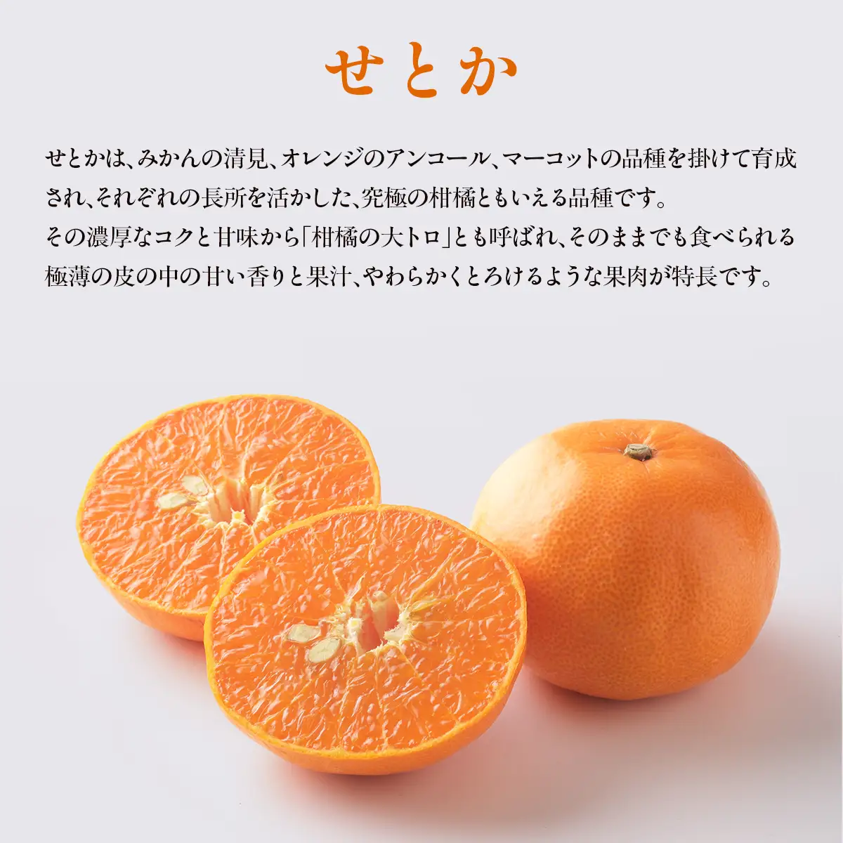【先行予約】せとか3kg ※離島への配送不可 （2027年2月10日より順次発送予定） IKTAG003