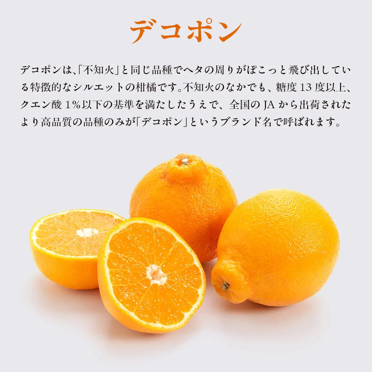 【先行予約】デコポン3kg ※離島への配送不可 （2027年2月10日より順次発送予定） IKTAG005