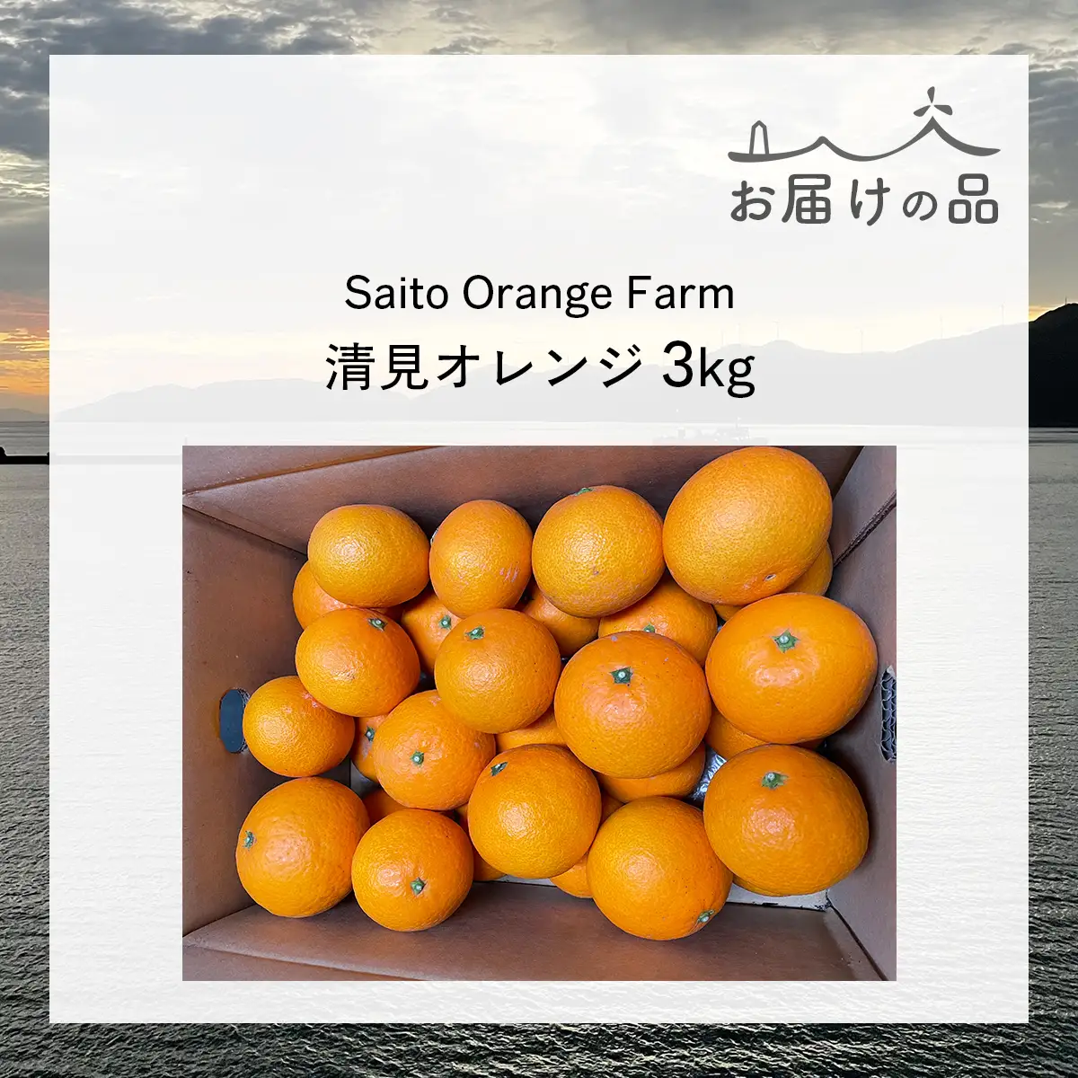 【先行予約】Saito Orange Farmの清見オレンジ3kg（2027年3月中旬頃より順次発送予定） IKTAQ006