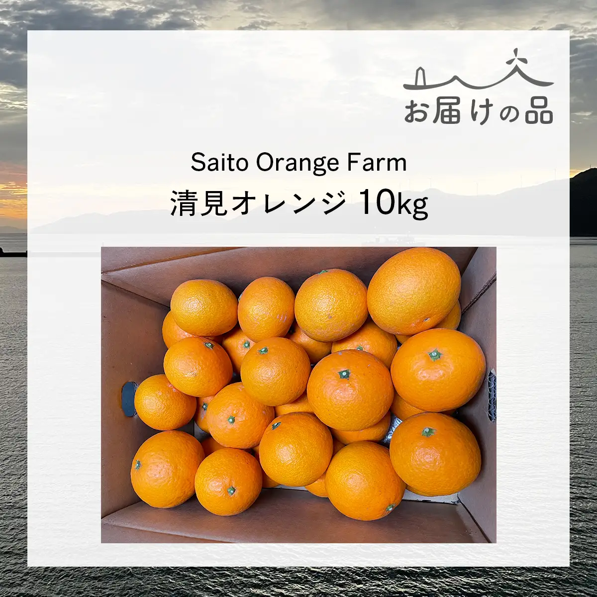 【先行予約】Saito Orange Farmの清見オレンジ10kg（2027年3月中旬頃より順次発送予定） IKTAQ008
