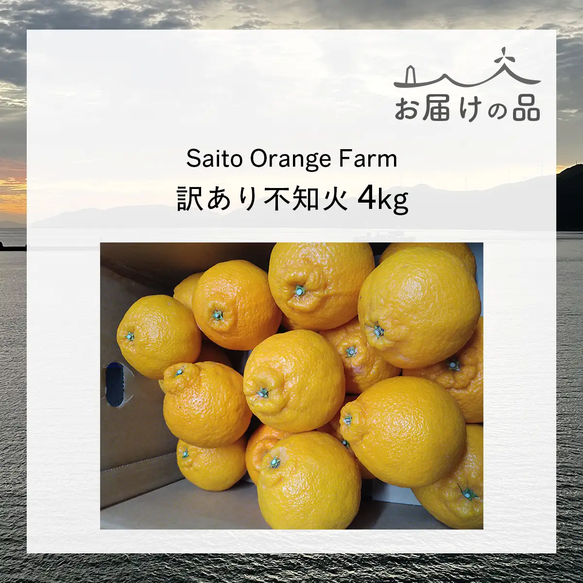 【先行予約】Saito Orange Farmの訳あり不知火4kg（2027年3月上旬頃より順次発送予定） IKTAQ011