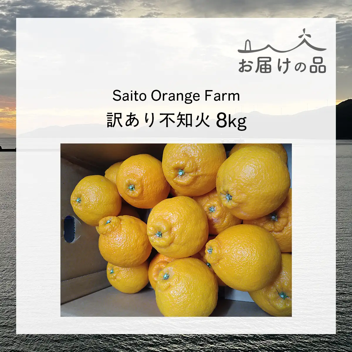 【先行予約】Saito Orange Farmの訳あり不知火8kg（2027年3月上旬頃より順次発送予定） IKTAQ012