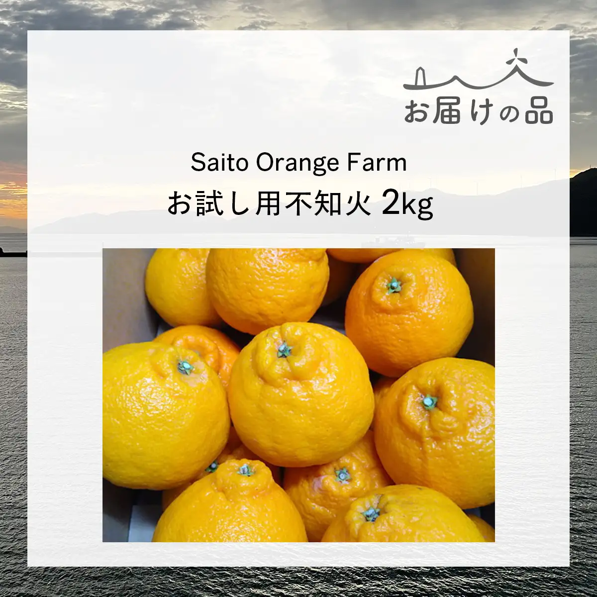 【先行予約】【お試し！】Saito Orange Farmの不知火2kg（2027年3月上旬頃より順次発送予定） IKTAQ013