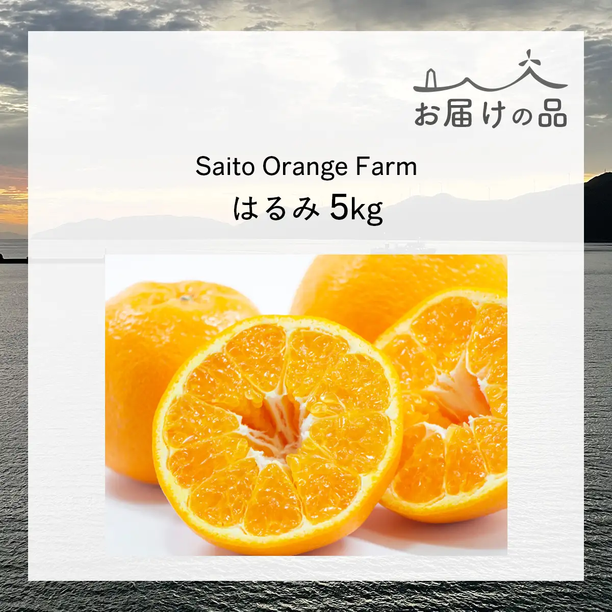 【先行予約】Saito Orange Farmのはるみ5kg（2027年2月上旬頃より順次発送予定） IKTAQ016