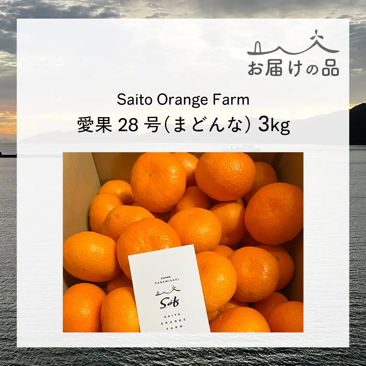 【先行予約】【数量限定】Saito Orange Farmの愛果28号（まどんな）3kg（2027年1月下旬頃より順次発送予定） IKTAQ017