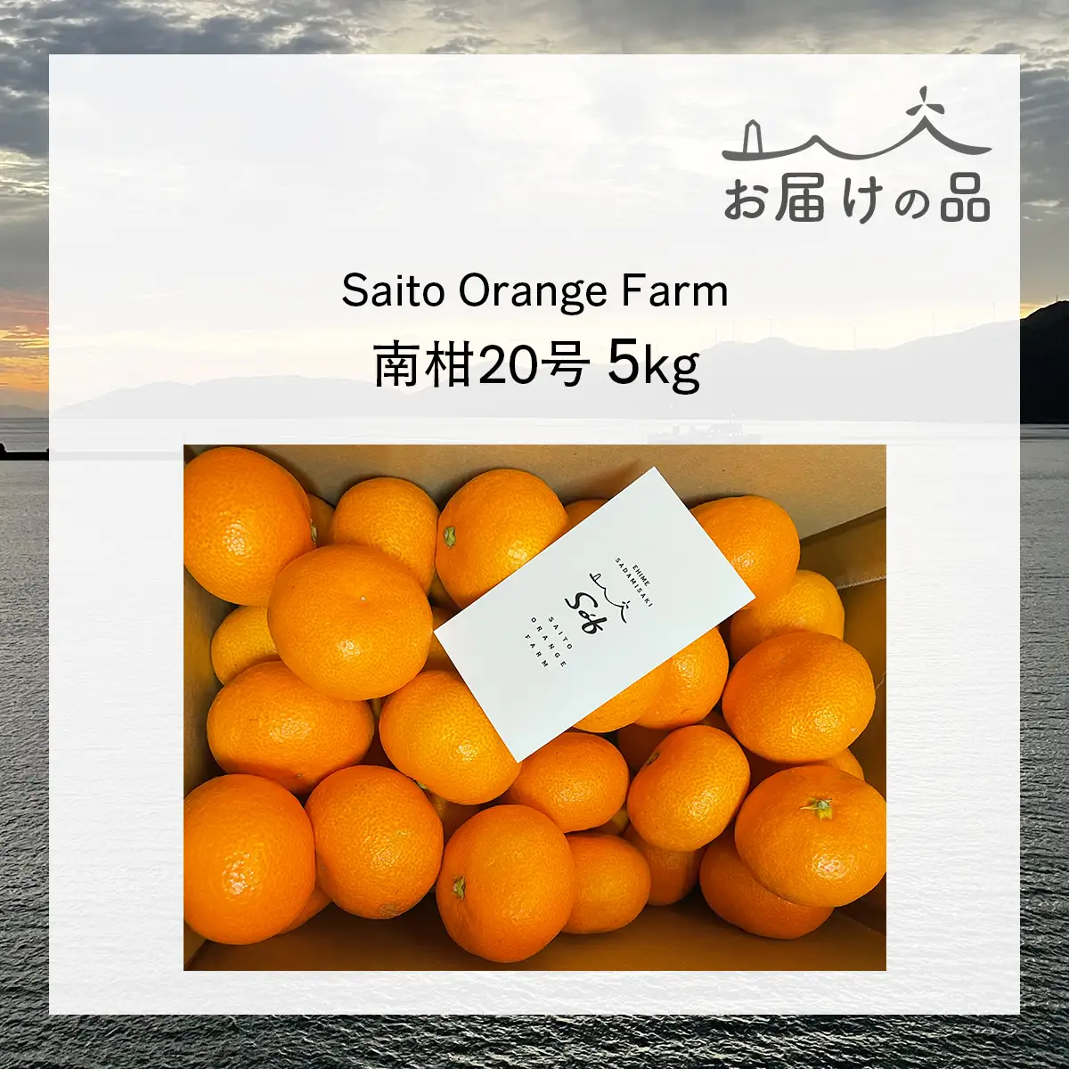 【先行予約】Saito Orange Farmの南柑20号5kg（2026年12月下旬頃より順次発送予定） IKTAQ018