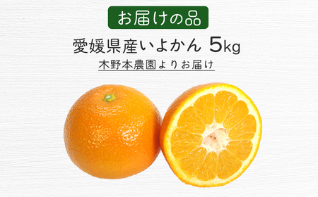 【栽培期間中農薬不使用】【先行受付】【数量限定】農園直送！愛媛県産 いよかん 5kg （2027年1月中旬頃より順次発送） IKTG015