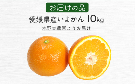 【栽培期間中農薬不使用】【先行受付】【数量限定】農園直送！愛媛県産 いよかん 10kg （2027年1月中旬頃より順次発送） IKTG016