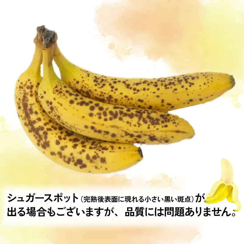 【果物】熟サンテーラバナナ約3kg徳田青果果物|F010-194001