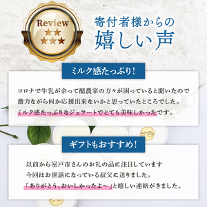 【大好評】ジェラートミルク 塩バニラ 10個 室戸市