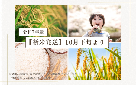 米 精米 令和7年産 福島県産 コシヒカリ 10kg 田村市