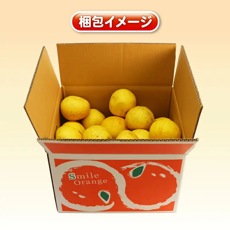 文旦 訳あり プチ土佐文旦 10kg 杉本屋 B010-143026