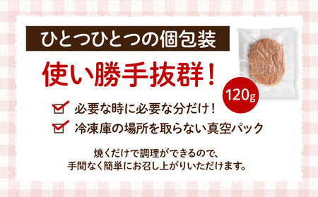 宮崎牛100％ハンバーグ 肉料理 お肉 冷凍