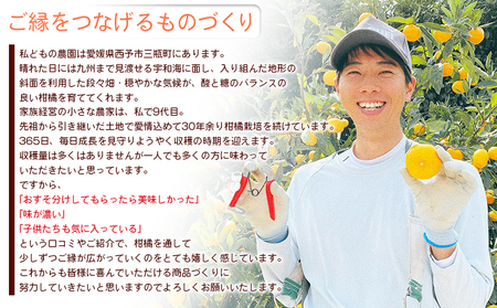 ＜TSUGUMI 清見ジュース 720ml×2本＞ 柑橘 みかん ミカン オレンジ 新鮮 ジュース ソフトドリンク 飲んで応援 のし対応可 お祝い 内祝い ギフト 贈答 贈り物 プレゼント 特産品 愛媛県 西予市【常温】『1か月以内に順次出荷予定』MHS0012
