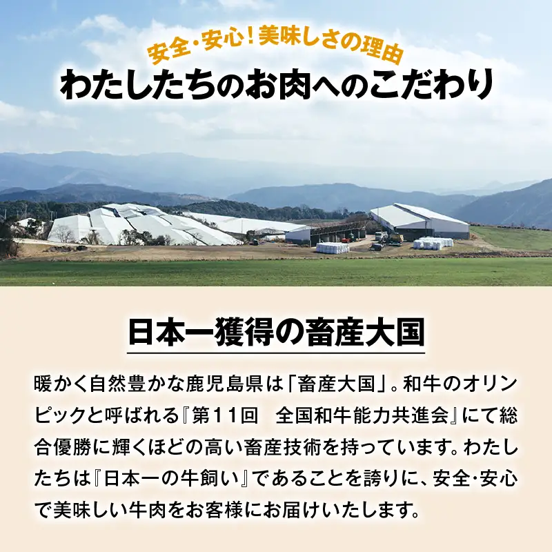 自社 ブランド 牛【 上村牛 】ユッケ 5人前 K002-043_05 肉 牛肉 冷凍