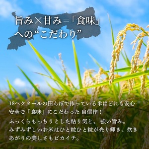 Y491 鳥取県産  ひとめぼれ 令和7年産 精米済 10kg（5kg×2袋）