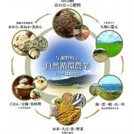 数量限定!令和7年産米 自然循環農業で育った京都与謝野町産コシヒカリ「京の豆っこ米」　精米6kg【1625678】