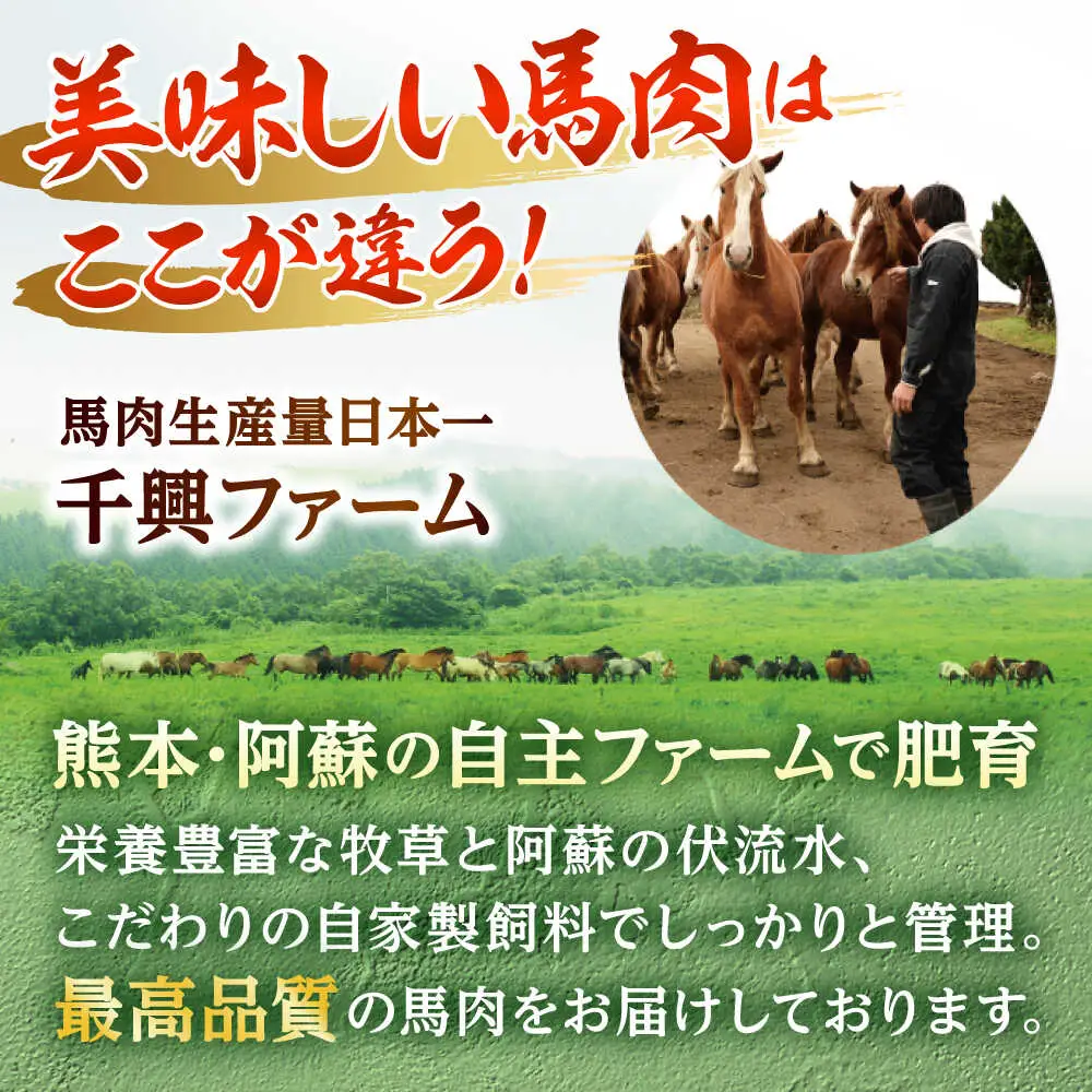 霜降り馬刺し 約320g 馬刺しのたれ付き[AYAF013]