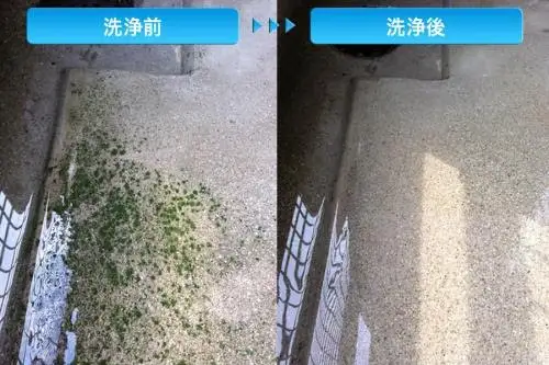 ハブラシ君1号 ブラシ 掃除 超極細 手作業用 ステンレス製ブラシ 浴室 洗面所 サッシレール カーペット汚れ タイヤ痕 日進市 愛知県