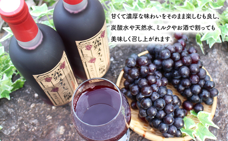 スチューベンセット 完熟原液 特秀ぶどう 青森県産 スチューベンセット【原液720ml×3本 ぶどう約2kg】