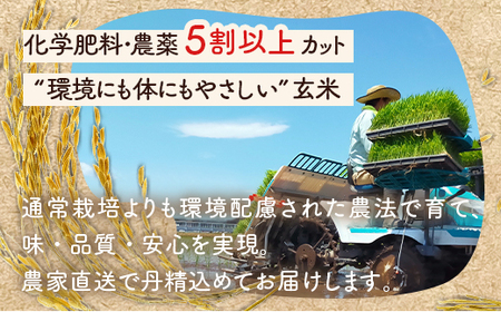 【発送時期が選べる】令和7年産 石川県能登産 こしひかり 玄米5kg （5kg×1個） | 米 ※2026年6月～発送