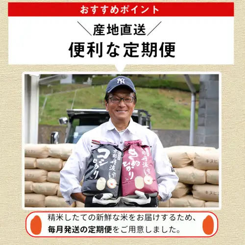 【12回定期便】きぬひかり 5kg 定期便 精米 白米