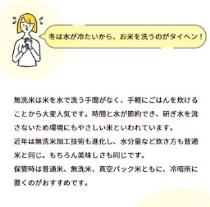 定期便 無洗米 5kg 6ヶ月 京都丹波産 キヌヒカリ 6回定期便 5kg ×6回 計30kg