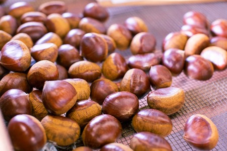 丹波栗【10月中旬以降発送】生粋 丹波栗 巻次の栗（小 SM混合 1kg)  丹波栗