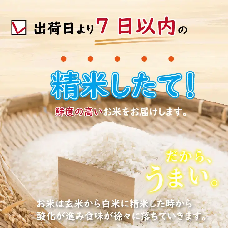 R7年度産 佐賀ブランド 米「さがびより」10kg（白米） 大坪精米所 C280-012