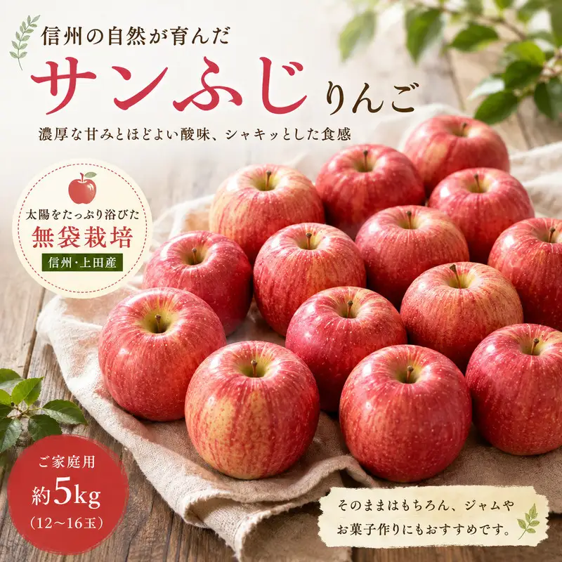 りんご 信州上田産 サンふじ 家庭用 約5kg  リンゴ 林檎 5kg サンフジ 果物 くだもの フルーツ デザート 旬の果物 旬のフルーツ 傷 長野県 長野 上田市