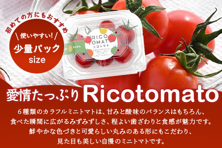 【4回定期便】【先行受付】2027年1月より順次発送予定【少量パック】完熟ミニトマト 360g (120gx3p) | トマト プチトマト 野菜 農家直送 ギフト 人気 佐賀県鹿島市 たにぐちファーム Ricotomato（リコトマト）～とりこになるトマト～ E-160