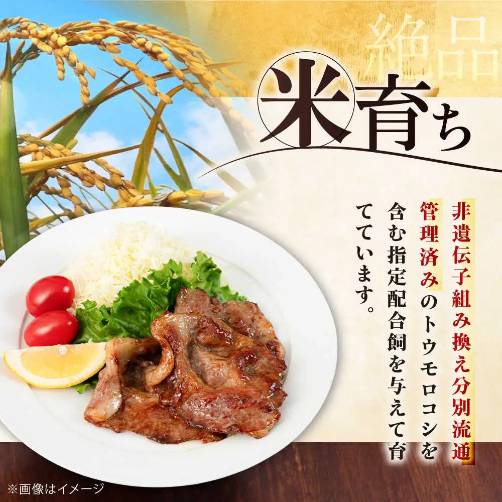 平田牧場 肩ロース しょうが焼き用 800g (200g×4P) 豚肉 ロース 生姜焼き スライス [AJAP130]
