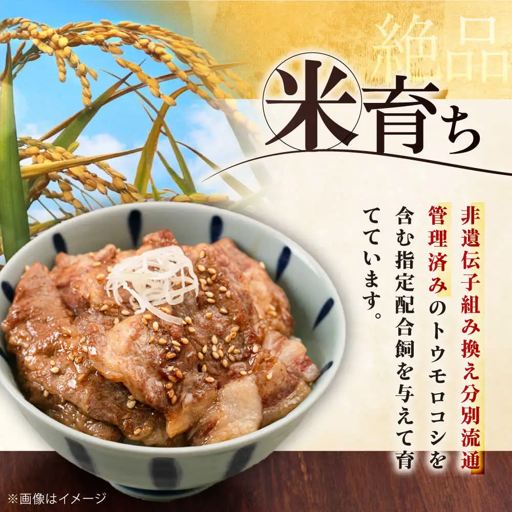 【全12回定期便】平田牧場 肩ロース 焼肉用 200g 豚肉 ロース スライス [AJAP146]