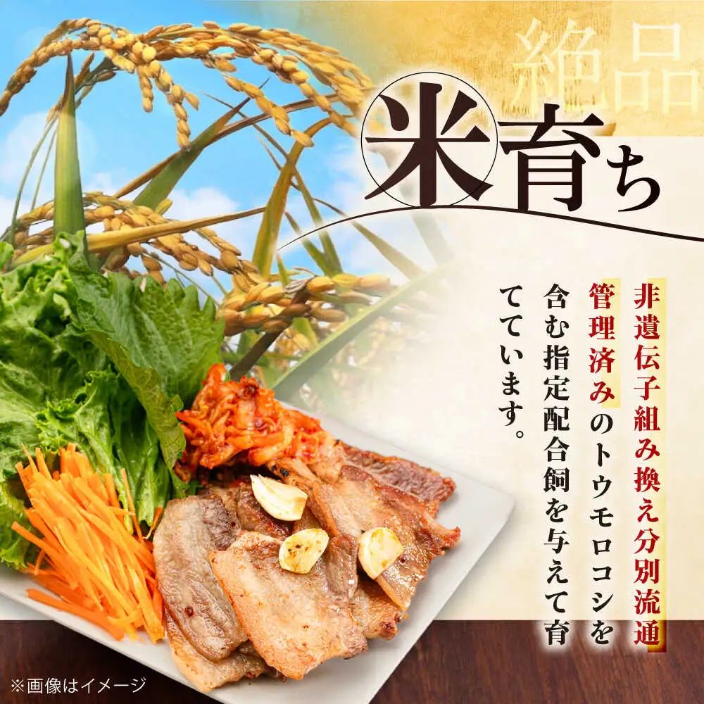 【全2回定期便】平田牧場 バラ 焼肉用 400g (200g×2P) 豚肉 カルビ スライス [AJAP155]