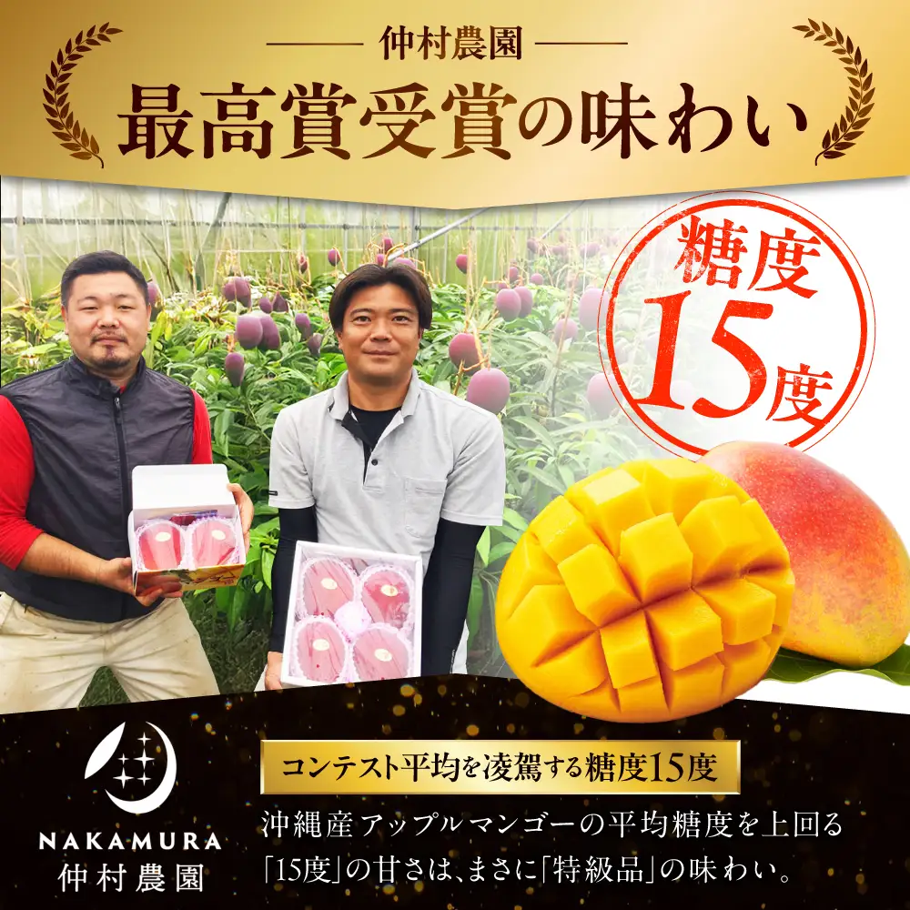 【2027年発送 先行予約】 アップルマンゴー 贈答用 1kg マンゴー BCCU002