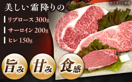 飛騨牛 A5 ステーキ3種盛り！ ヒレ・サーロイン・リブロース / 恵那市 / 東美濃農業協同組合 [AUFX024]